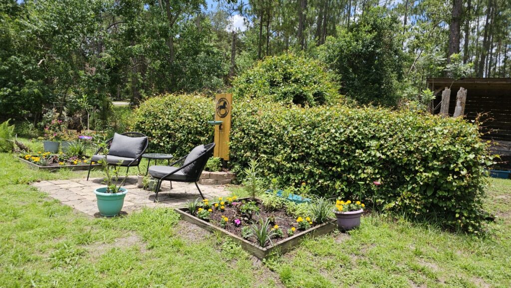 Backyard Habitat