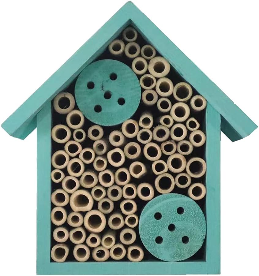Blueish Egree Bee House from Amazon.
