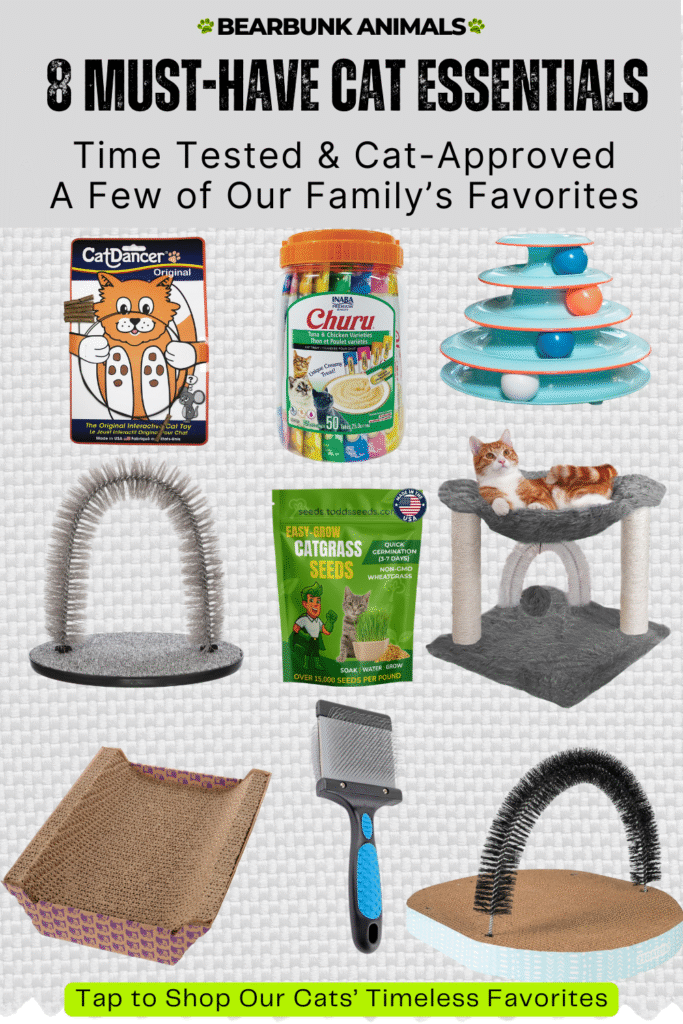 Cat essentials like toys, grooming brushes, cat grass, treats, and scratchers — family-tested picks.