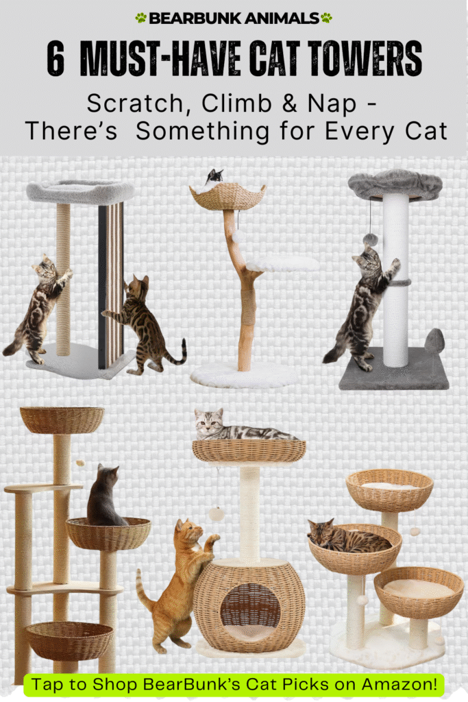 Cat towers and trees for scratching, climbing, and lounging — perfect for cats of every style.