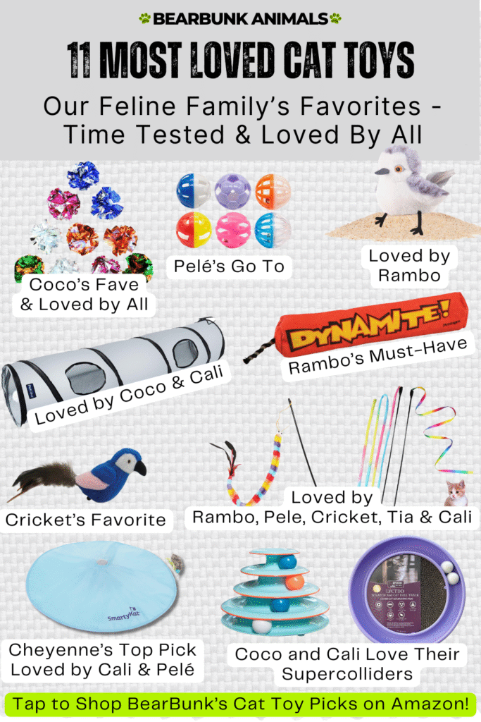 BearBunk Cat Toys — 11 Most Loved Picks Time-Tested by Our Cats Coco, Cali, Rambo, Pelé, Cheyenne, Cricket, and Tia