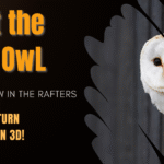 Barn owl peeking out from dark wooden rafters with soft feathered frame; bold yellow title text reads 'Meet the Barn Owl' with subtitle 'Shadow in the Rafters' and a highlighted fact below: '270° Head Turn and Hears in 3D!'