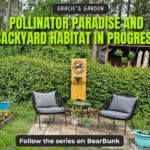 Pollinator-friendly garden setup with bee waterer, flower planter, and wildlife habitat sign in Gracie’s Garden