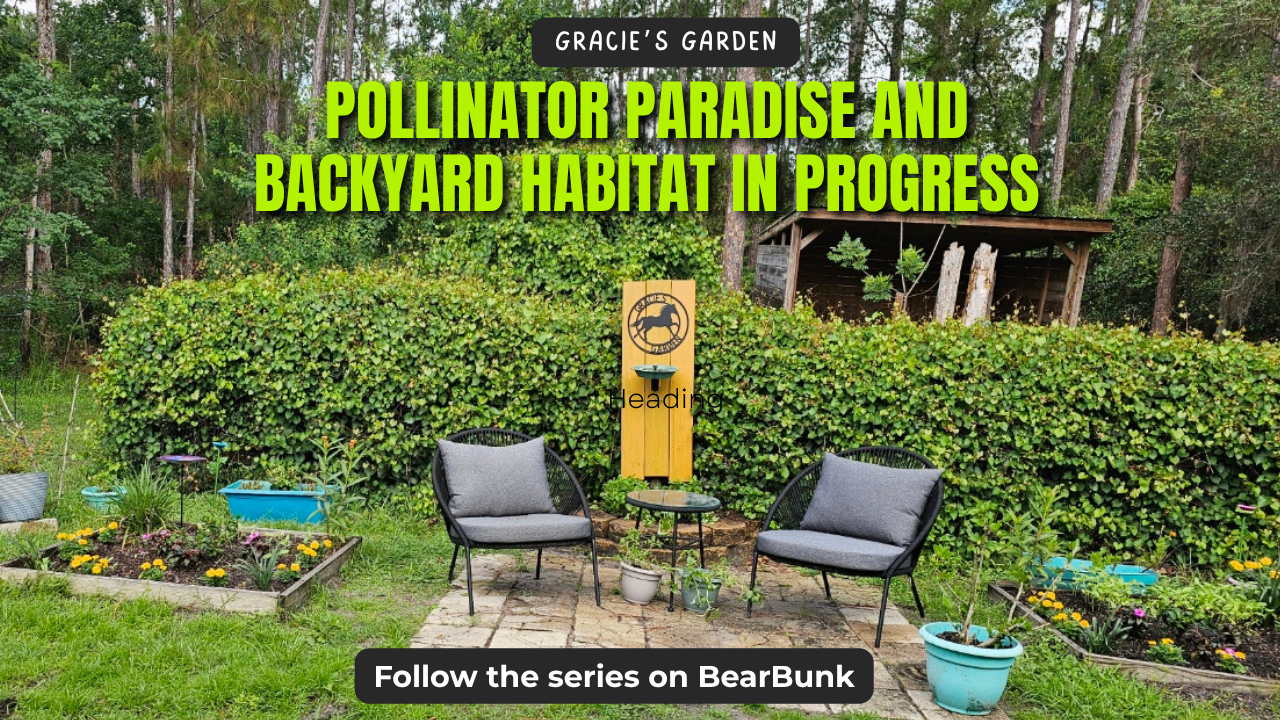 Gracie’s Garden: Our Almost-Ready Pollinator Paradise