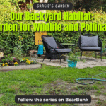 Wide view of a backyard habitat with raised flower beds, water features, and seating area, designed to attract wildlife and pollinators.