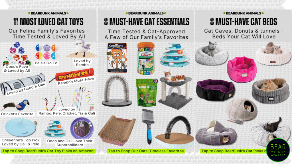 BearBunk Cat Essentials and Favorites — Toys, Beds, and Scratchers Loved by Our Cats