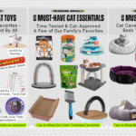 BearBunk Cat Essentials and Favorites — Toys, Beds, and Scratchers Loved by Our Cats