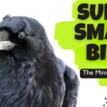 A striking close-up of a common raven perched proudly on a weathered branch, its glossy black feathers reflecting deep blue and purple hues, with the text overlay reading The Mind Of A Raven and More Than Just A Bird.